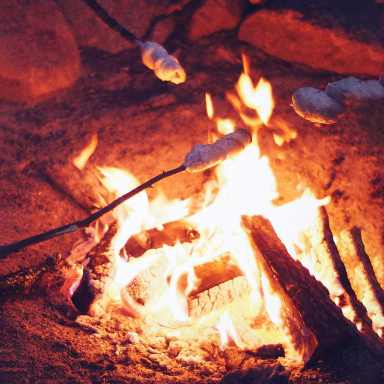 Seeweide Naturcampingplatz Penzlin