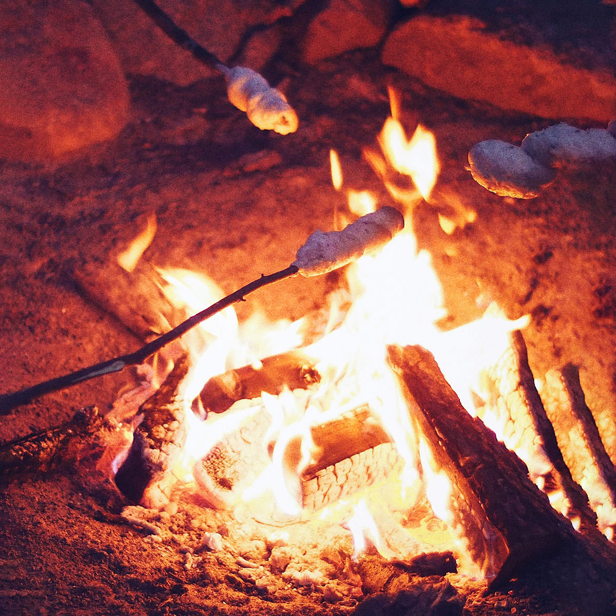 Ostersonntag Saisonstart 2025 auf der Seeweide » Seeweide Naturcampingplatz Penzlin