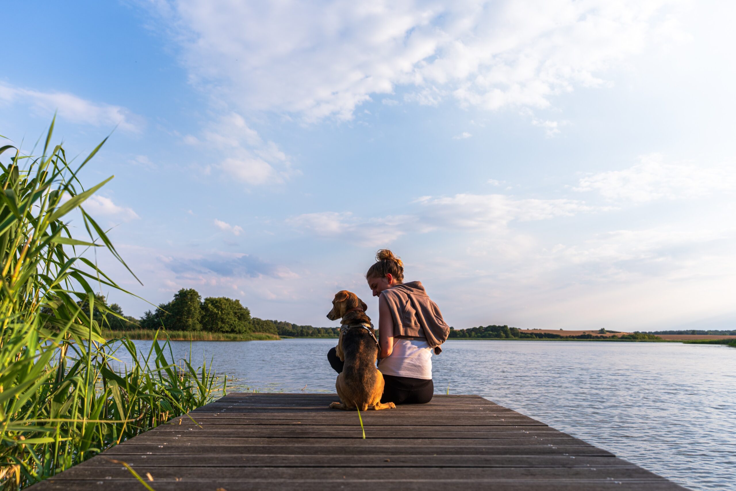 Pfoten Paradies -Hunde campen kostenfrei » Seeweide Naturcampingplatz Penzlin